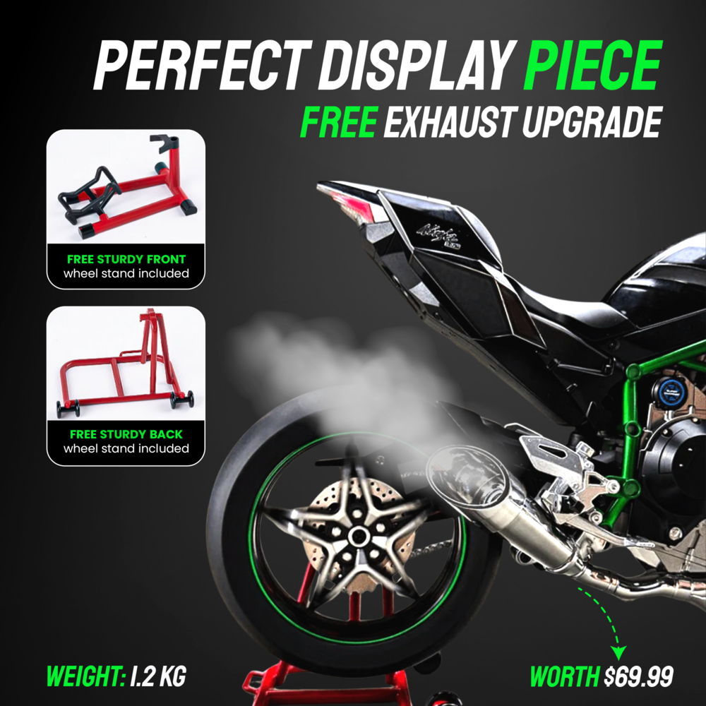 1:6 Ninja H2R Model